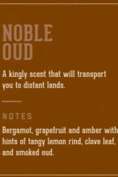 18.21 Noble Oud Car Air Freshener 2