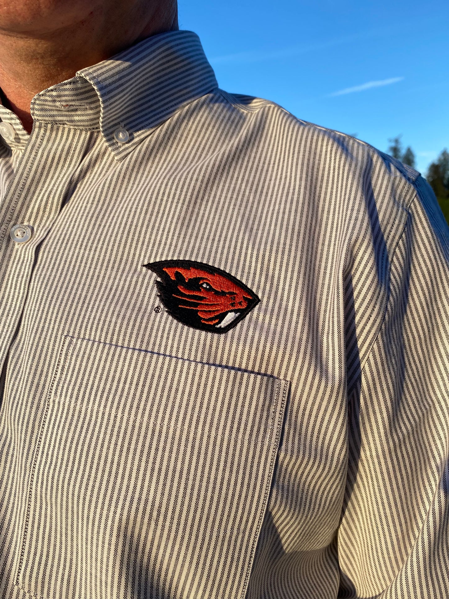 OSU Beavers Long Sleeve, Pinstripe, Button Down Oxford . Charcoal Pinstripe