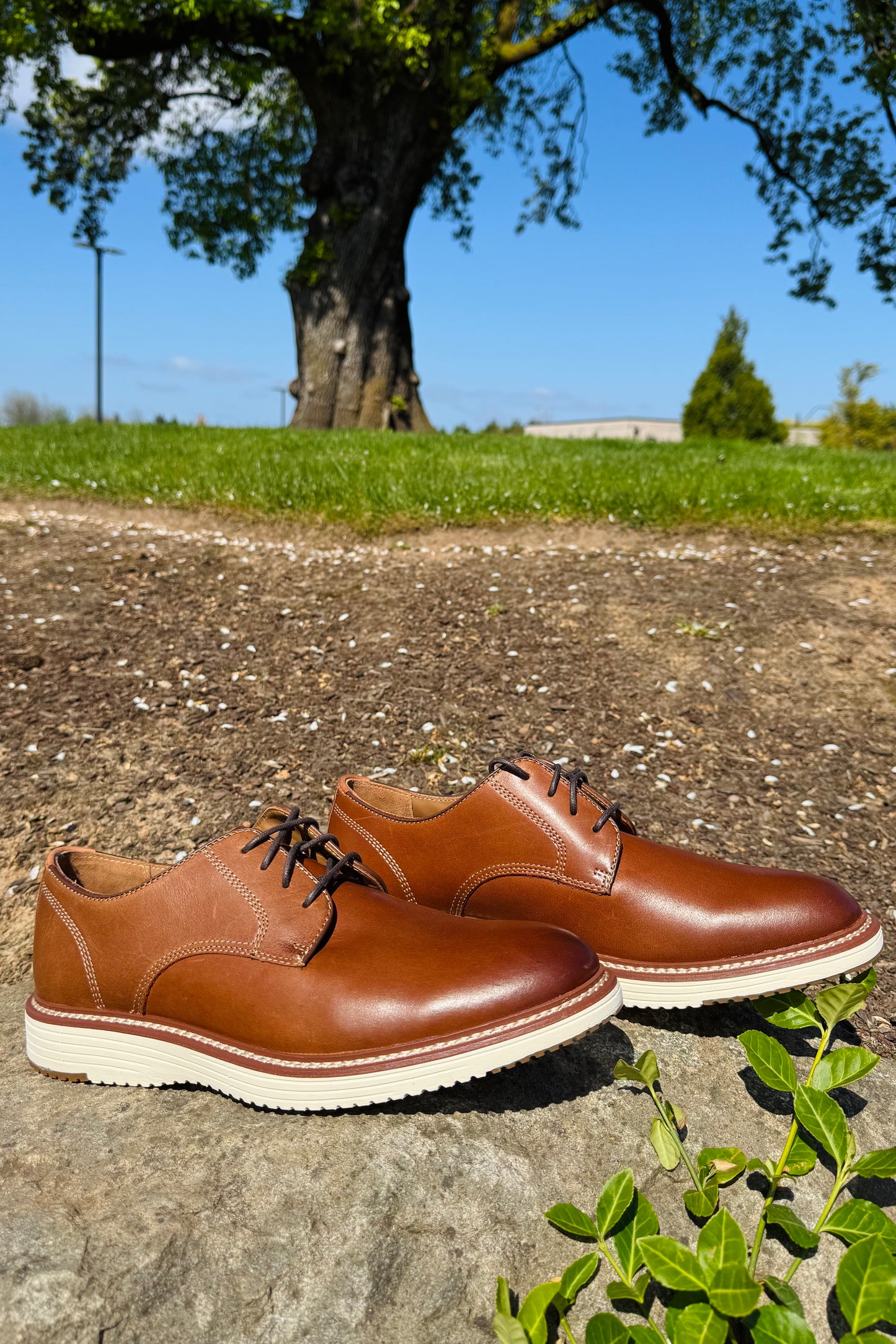 Upton Plain Toe Oxford