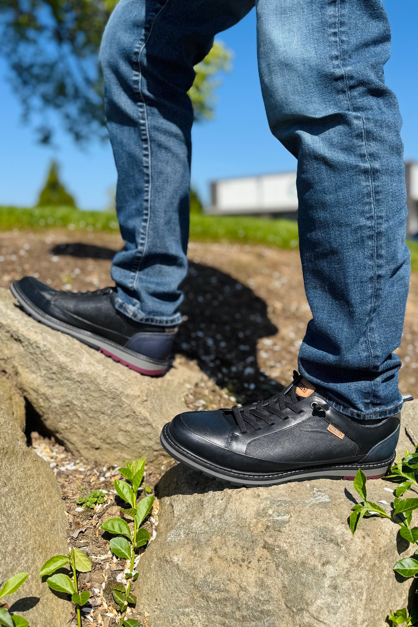 Berna Shoe