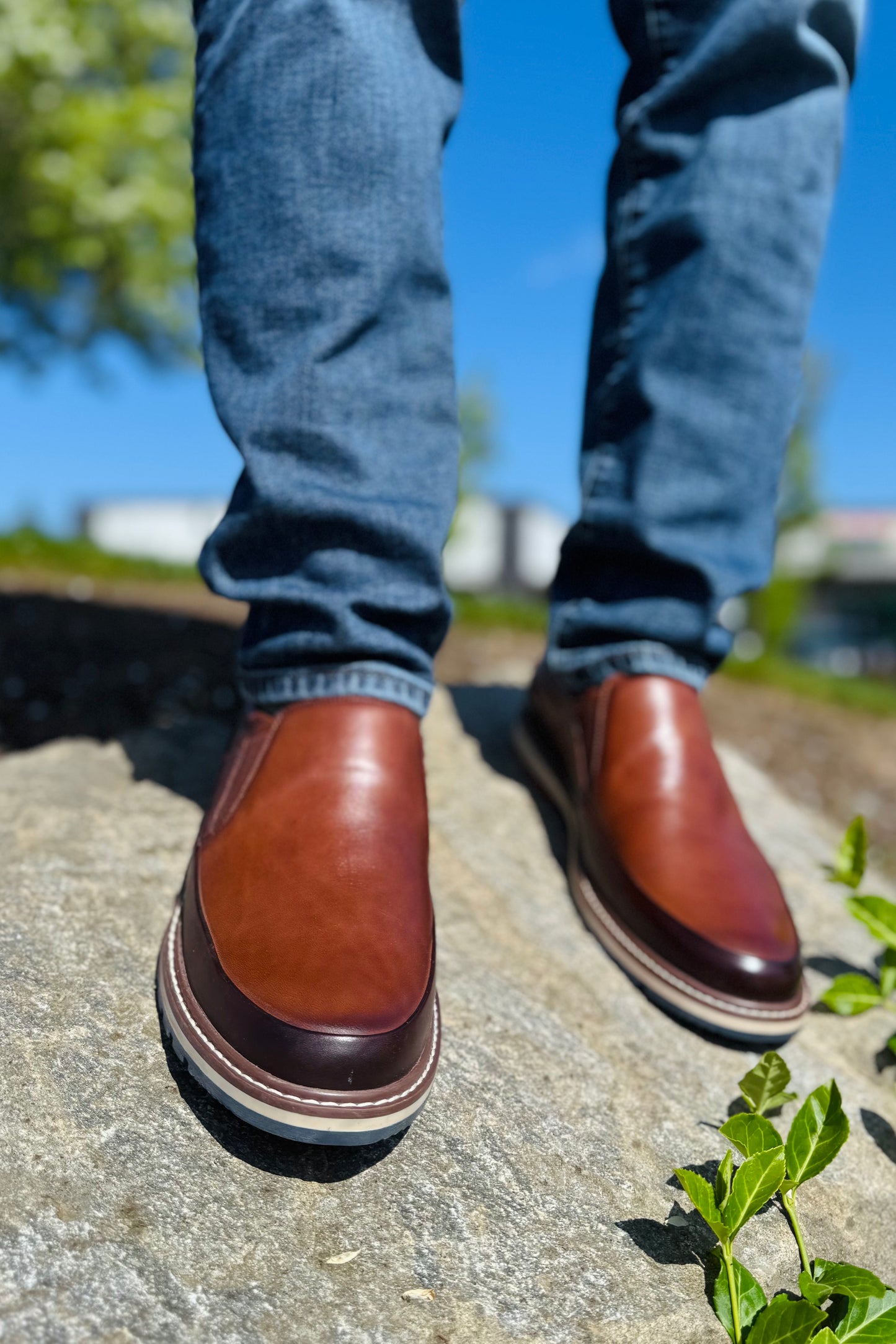 Berna Shoe
