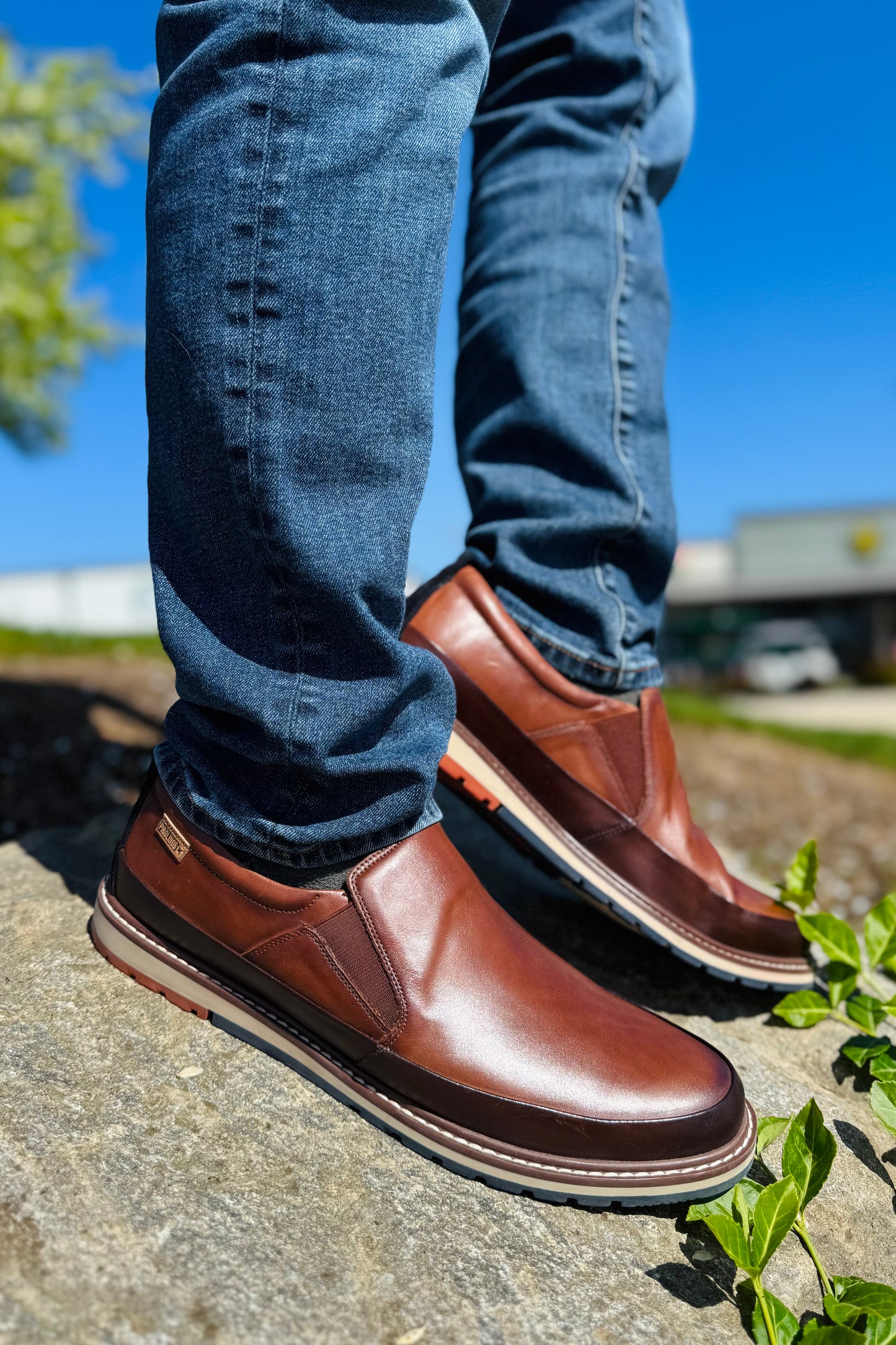 Berna Shoe
