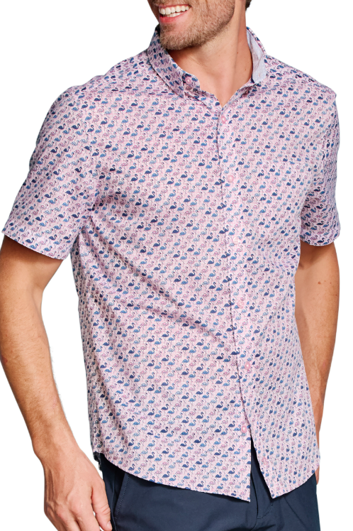 Short sleeve Johnston and Murphy button up dress shirt with flamingos