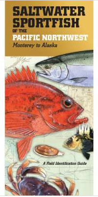 Saltwater Sportfish of the PNW Field Guide