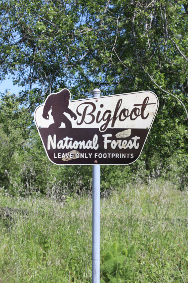 Bigfoot National Forest-Metal Sign