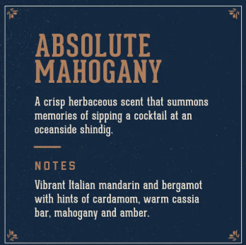 18.21 Absolute Mahogany Car Air Freshener