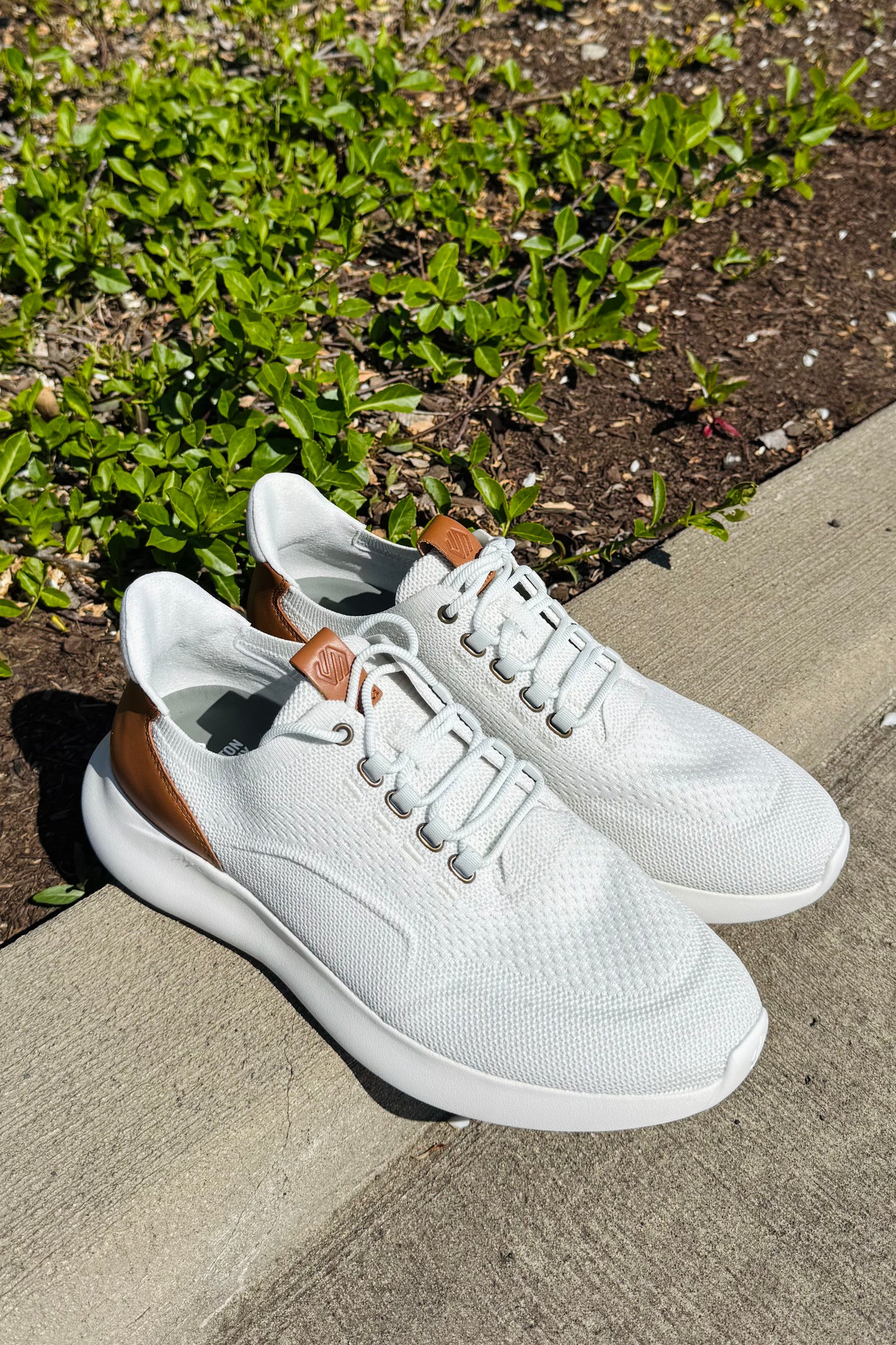 Amherst Knit Sneakers